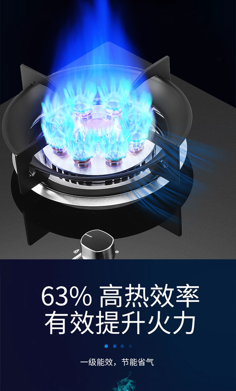 燃气灶家用厨卫双九腔猛火灶台嵌两用天然气液化气双灶煤气灶批发详情10