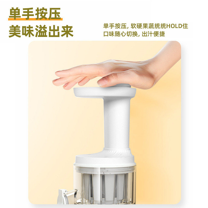 Multi-functional juicer pic 2