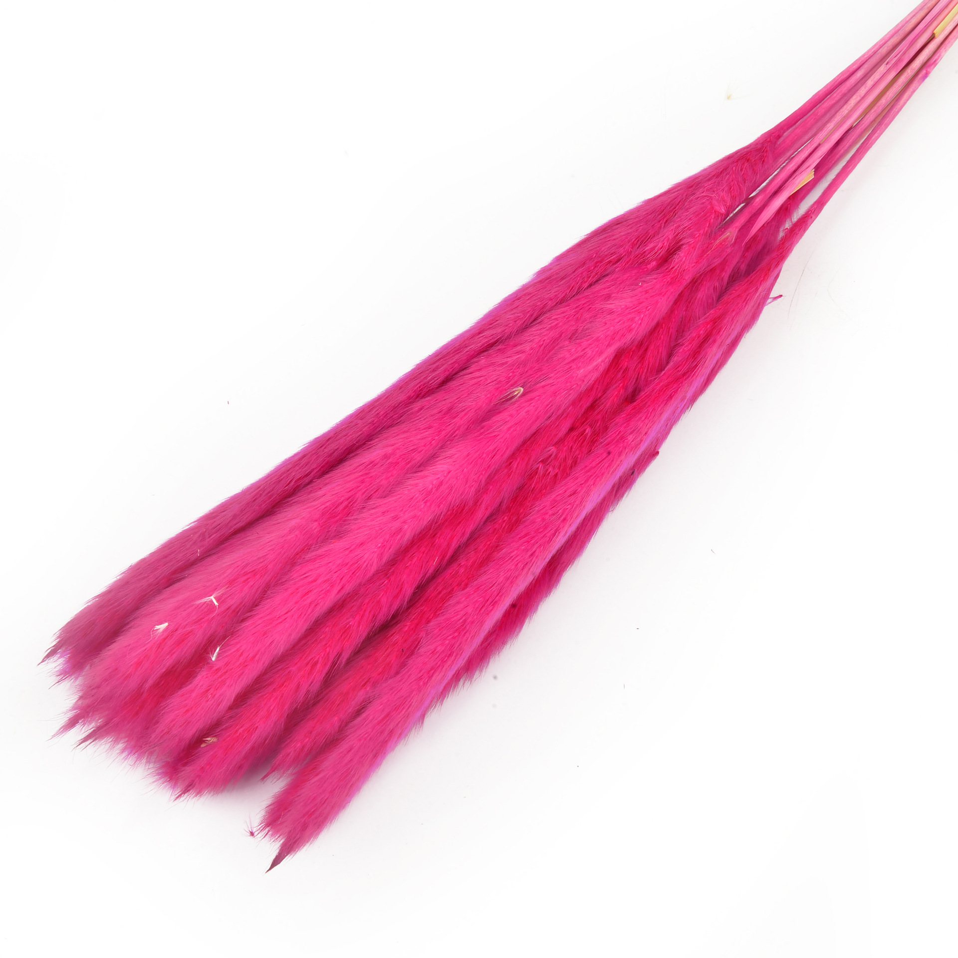 永生花小芦苇干花花束批发ins风家居装饰小芦苇厂家批发                                 详情9