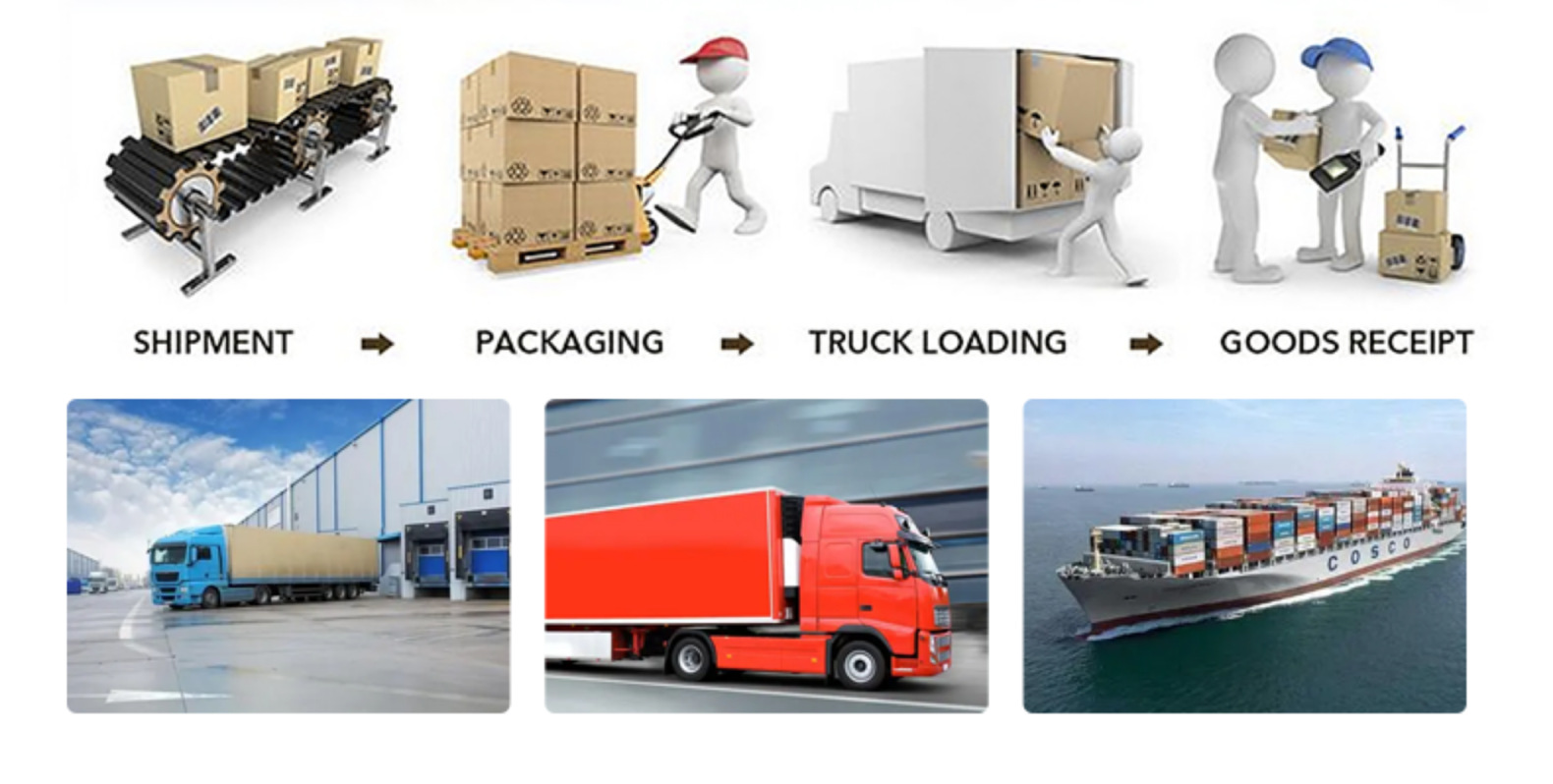 男装短袖T恤跨境专供烫画烫图烫标 熊熊 服装烫钻辅料立体钻 源头工厂详情12