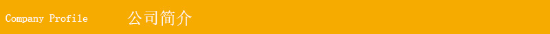 公司简介 拷贝