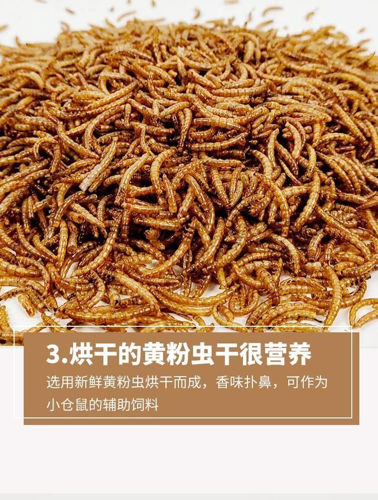 宠物零食面包虫干仓鼠刺猬粮食小龟粮用品主粮鸟零食厂家直销批发详情10