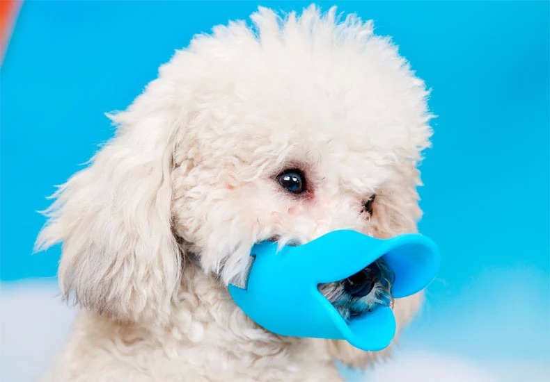 宠物狗嘴套鸭嘴套 (46)