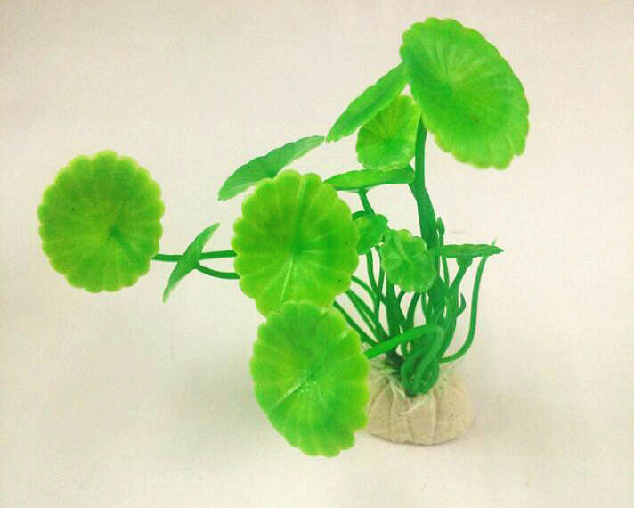 水族箱仿真水草  鱼缸水草 珍珠草匍匐类批发 美丽仿真小草详情42