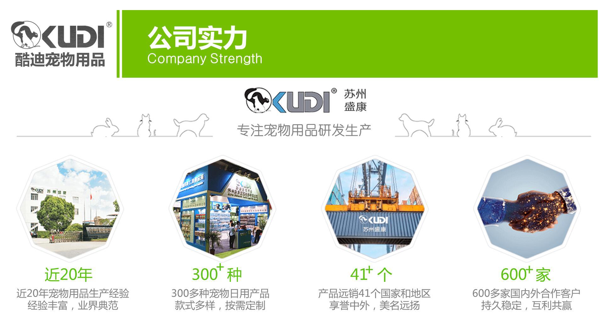 公司实力