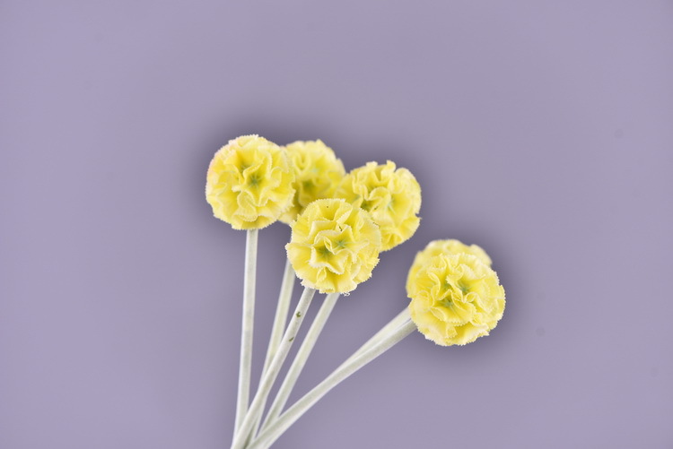 High-quality artificial flowers of windmill chrysanthemum in stock, windmill flower, pine, insect fruit, living room, wedding decoration, flower arrangement art, windmill fruit pic 16