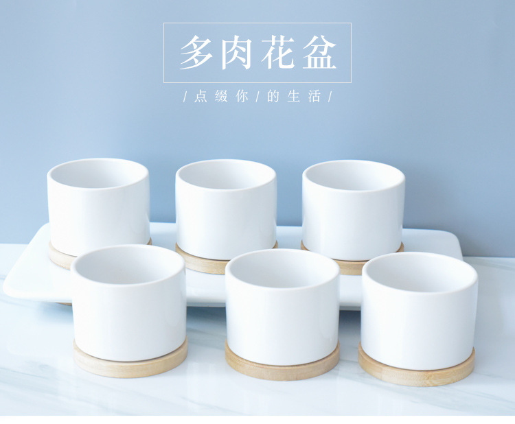 陶瓷花盆跨境白瓷多肉植物小花盆批发简约园艺多肉盆可印LOGO厂家详情2