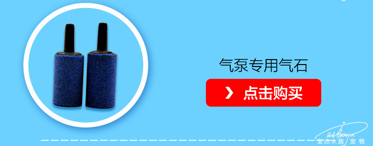 新鱼缸氧气泵 日胜超双孔增氧泵 养鱼专供小鱼缸打氧泵RS-800详情31