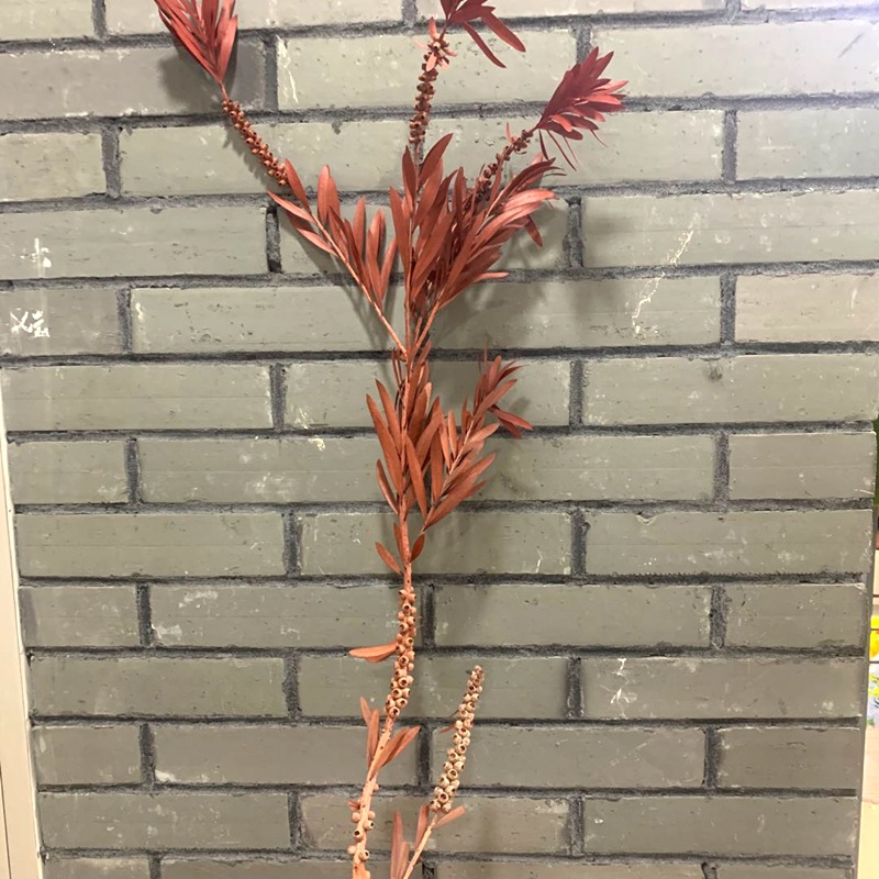 微信图片_20200822151420