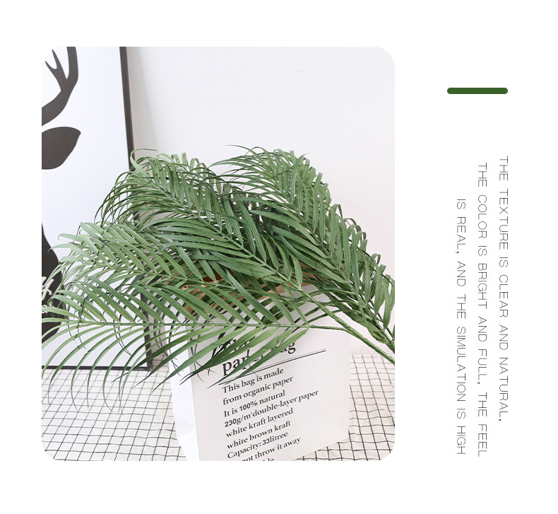 未标题-2_12.jpg