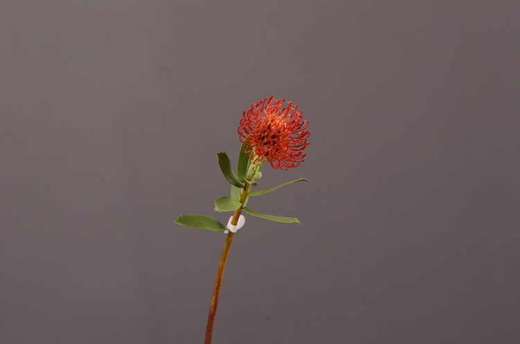 Factory direct sales, wholesale of in-stock inventory of artificial large needle cushion flowers, artificial flower sets, wholesale of living room, dining table, entrance hall, desktop decoration, flower arrangement and ornaments pic 23