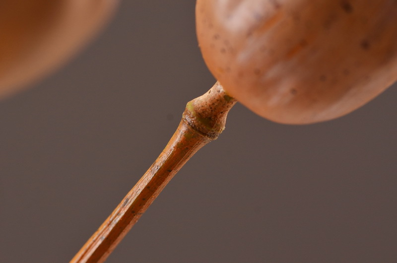 Wholesale of high-end artificial fruits, artificial flowers, photography props, teaching AIDS, dried artificial flowers and flower arrangement materials from the original factory pic 10