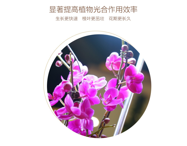 LAN Yuan Smart Flower POTS Office smart planting potted plants Creative flower POTS fully automatic flower POTS white pic 3