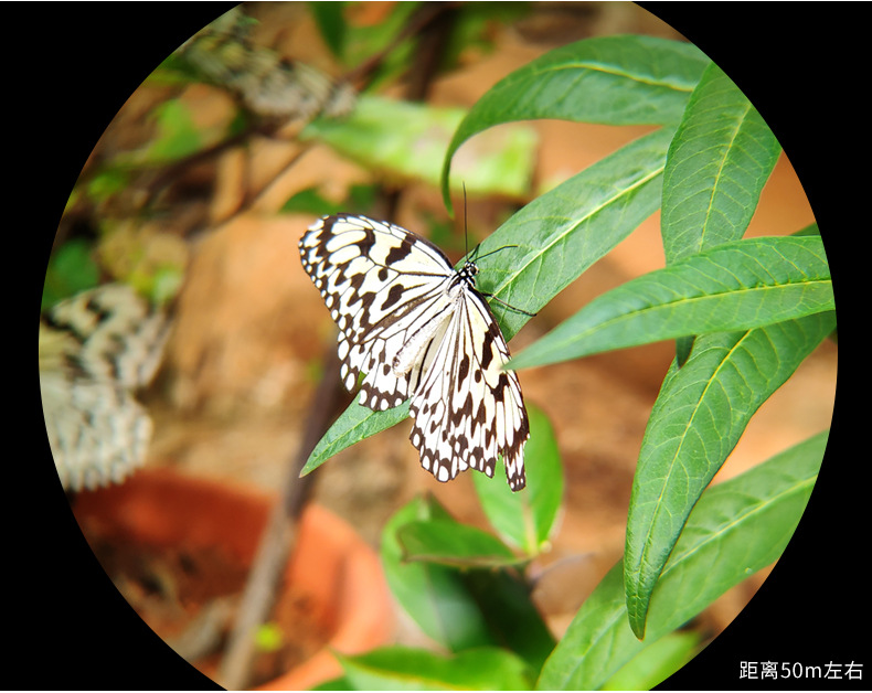 Shengtu ED series binocular outdoor binoculars, ED lens SMC-coated binoculars, IP-7 waterproof binoculars pic 9