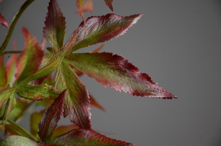 Factory wholesale of artificial flowers, direct sales from the manufacturer, wholesale of artificial green plants, home decoration flowers, red artificial leaves, artificial maple leaves pic 26