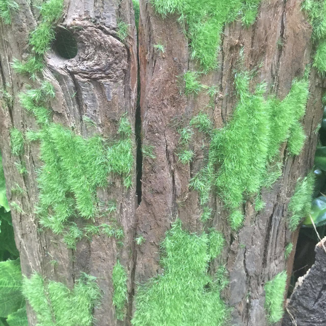 Simulated tree bark, original farm landscape, natural tree bark, real wood veneer, water pipe, column decoration, tree bark pic 14