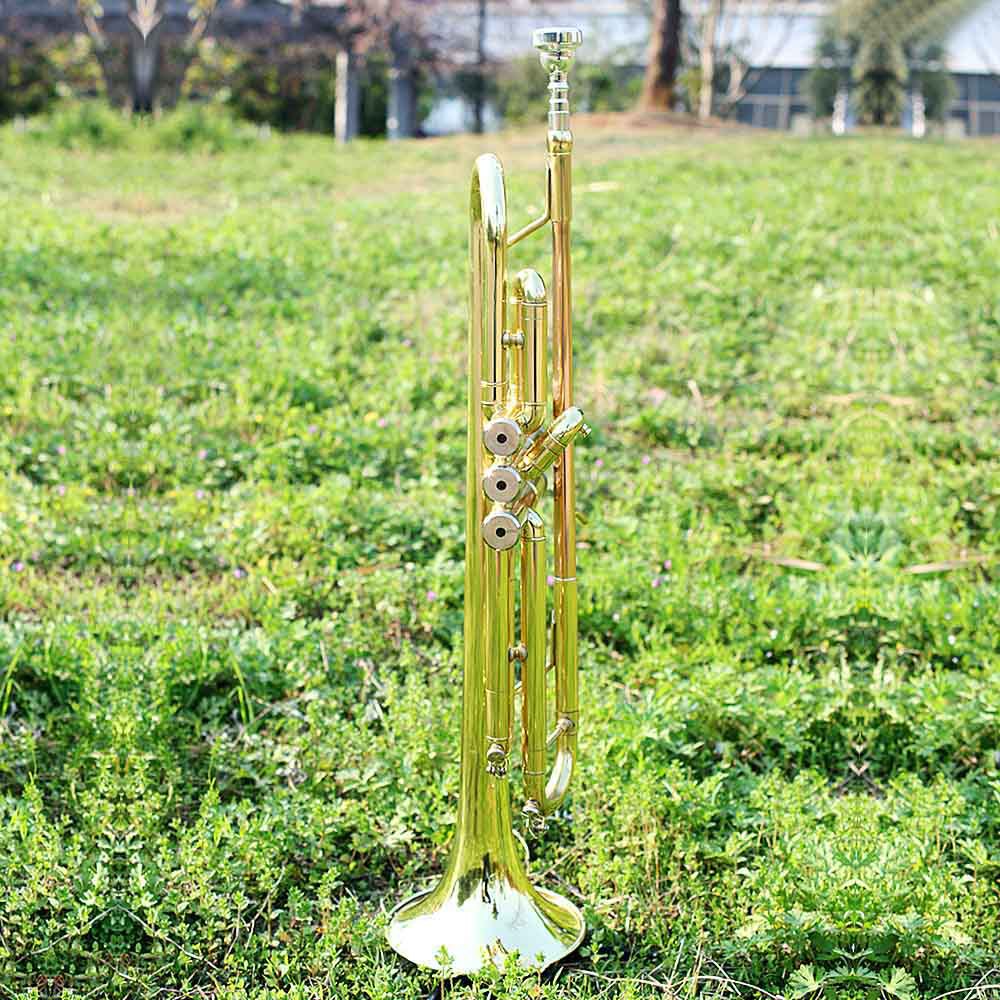 SLADE trompeta en si bemol importado latón cuerpo tubo fósforo cobre color principiante práctica banda tocando trompeta trompeta wholesale pic 7