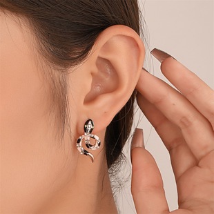 欧美缠绕耳挂式蛇形耳钉朋克复古夸张小众情侣设计感耳环气质耳饰详情6