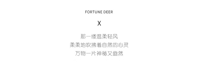 多功能_02.jpg