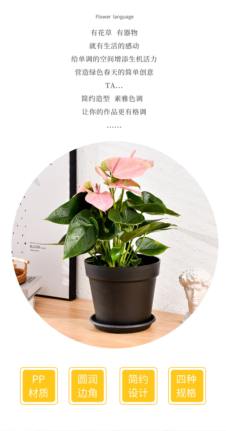 圆形大口径国际盆黑色塑料加仑盆家用客厅阳台树脂花盆厂家批发详情2