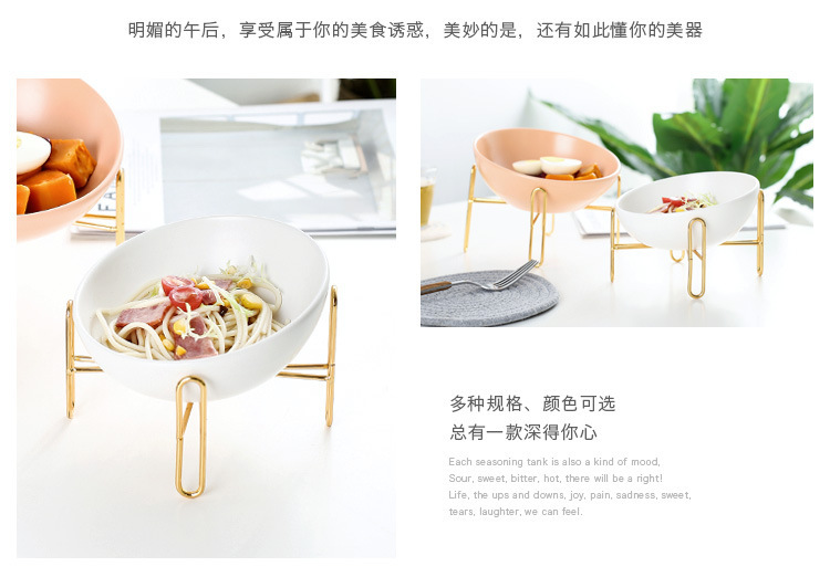 Nordic creative household ceramic tableware with metal racks, pet ceramic bowls, pet feeders pic 10
