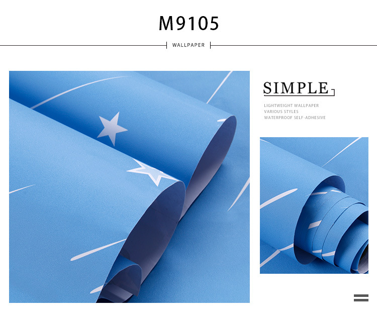 m9105.jpg