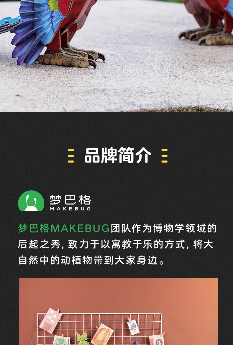 梦巴格3D立体纸拼图益智模型拼插装玩具自然科普动物手工金刚鹦鹉详情10