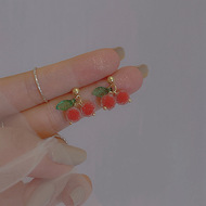 The 2025 new cold style earrings, a niche design for women, zircon ear buckles S925 silver needle, a popular earpiece pic 33