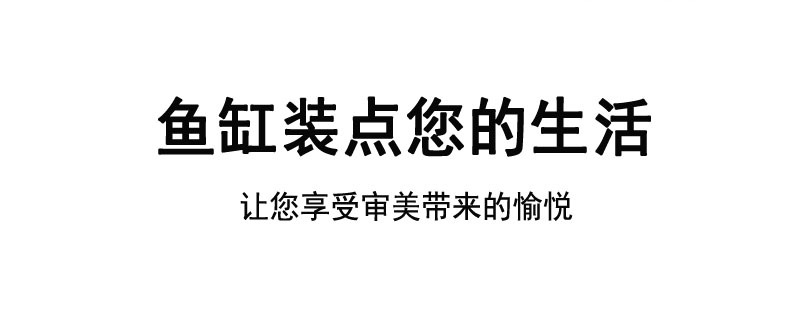 Ecological bottle micro-landscape, small office desktop, fish tank landscaping, fighting fish, glass tank, aquarium living room creativity pic 3