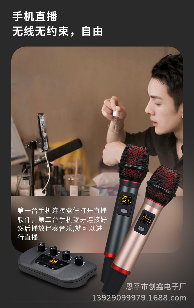 A best-selling karaoke gadget, a multi-purpose dual-microphone combination for car home audio systems pic 9