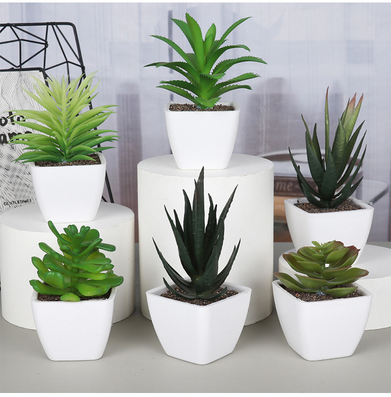 Amazon set of simulation succulent three-piece set with PVC box home decoration simulation plant potted plant gift pic 43