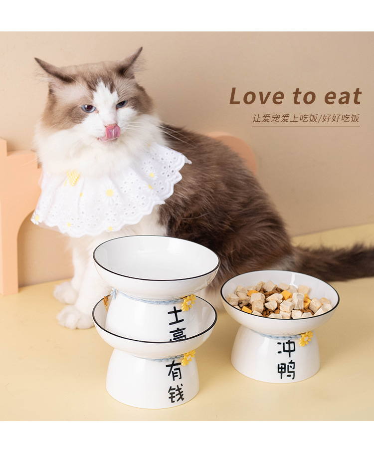 Ceramic cat and dog bowls, pet bowls, creative text, slanted mouth, high feet to protect the cervical vertebrae and prevent black chins, cat and dog food bowls pic 10