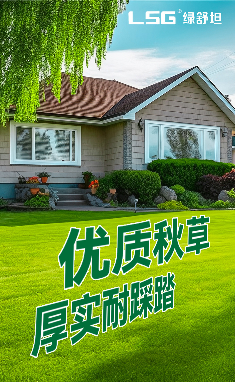 仿真草坪人工假草皮地毯绿色草幼儿园仿真草皮塑料假草坪围挡详情1