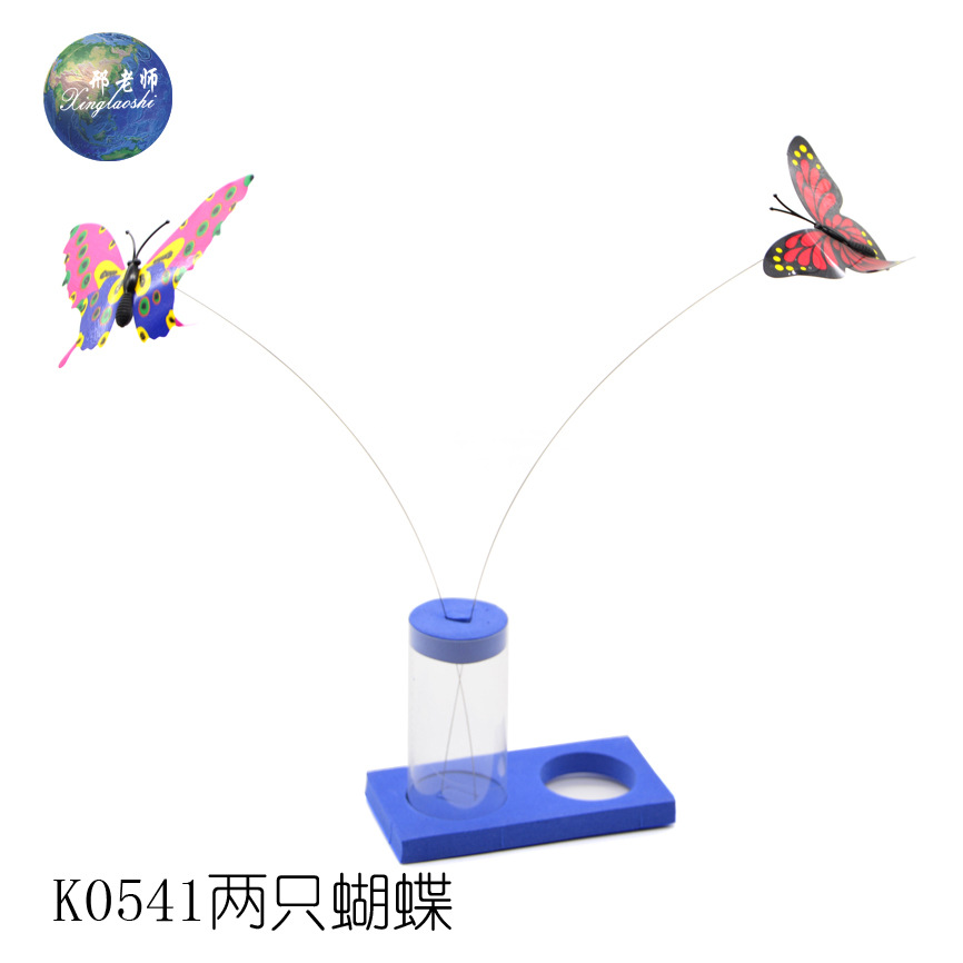 K0541 Two Butterflies Technology Small Creations and Inventions by Teacher Xing pic 6