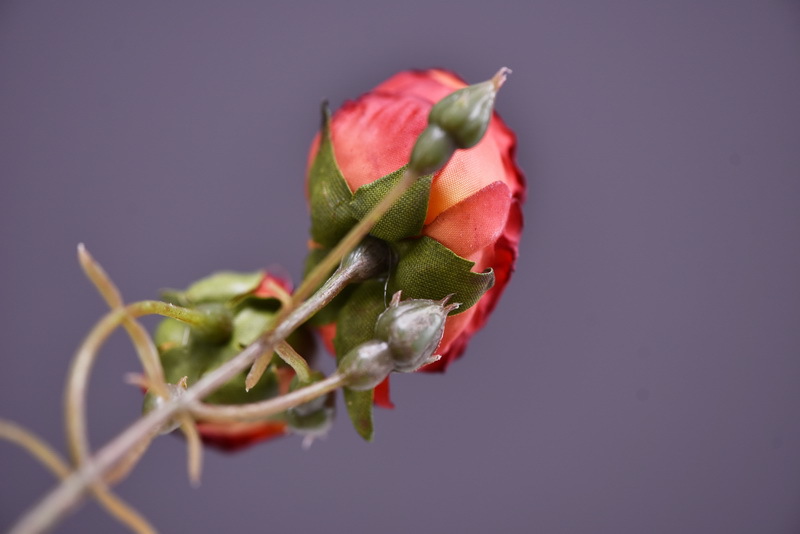 Simulated retro charred edge rose bud home, hotel, banquet table flower, high-end simulated rose, simulated dried flower pic 11