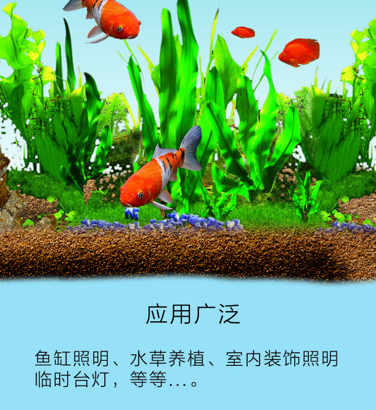 水族鱼缸灯养鱼灯水草养殖灯具高亮节能灯5w大功率水草照明灯详情2