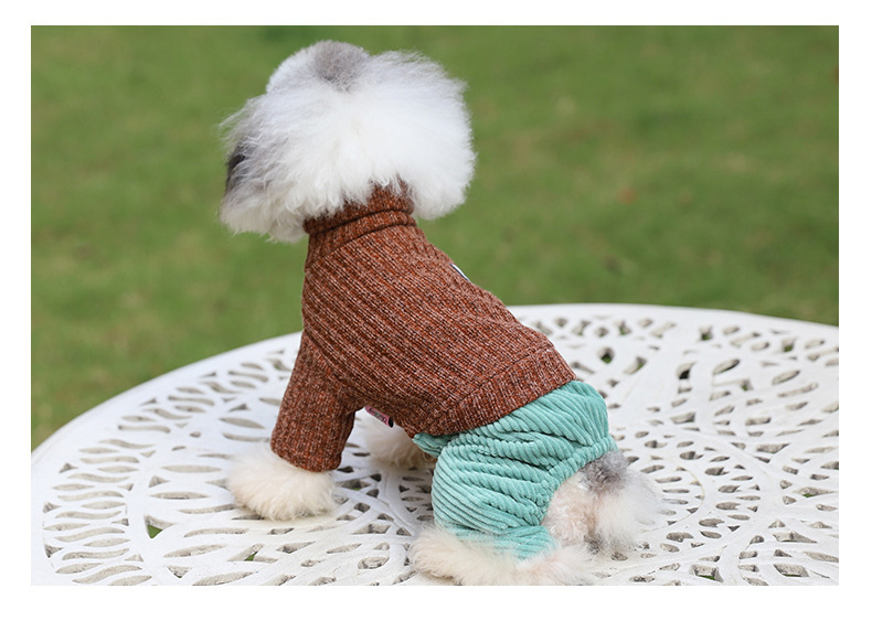 Pet suéter nuevo color sólido moda perro cuatro pies otoño invierno engrosado caliente cómodo cuello alto gato suéter pic 6
