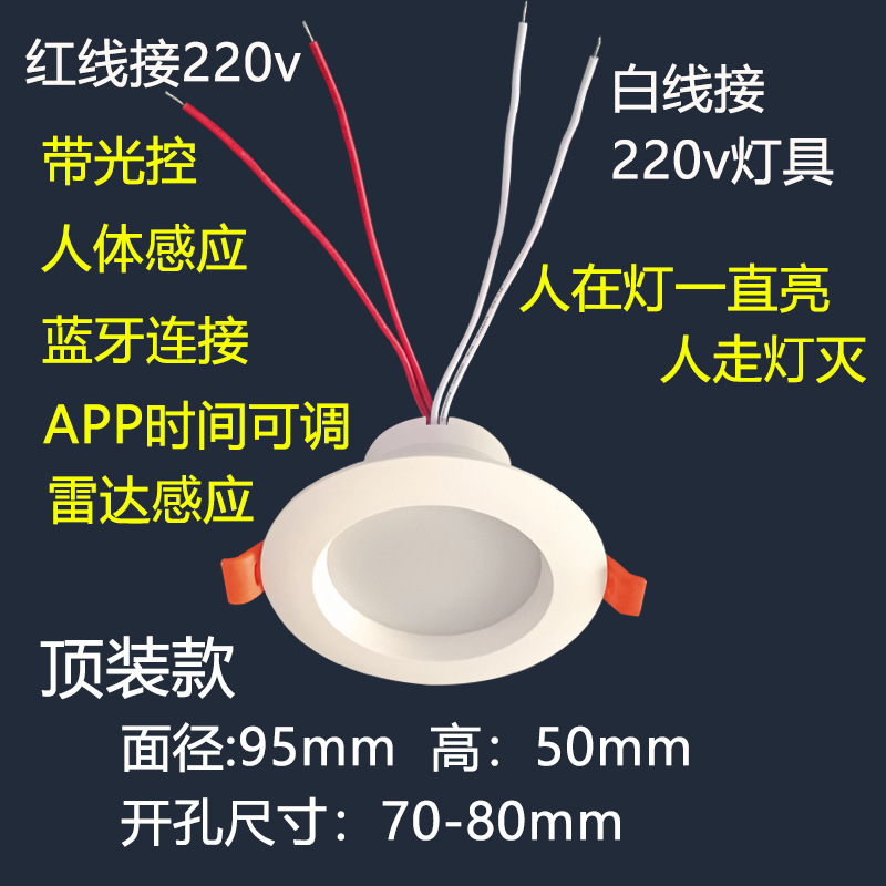 主12