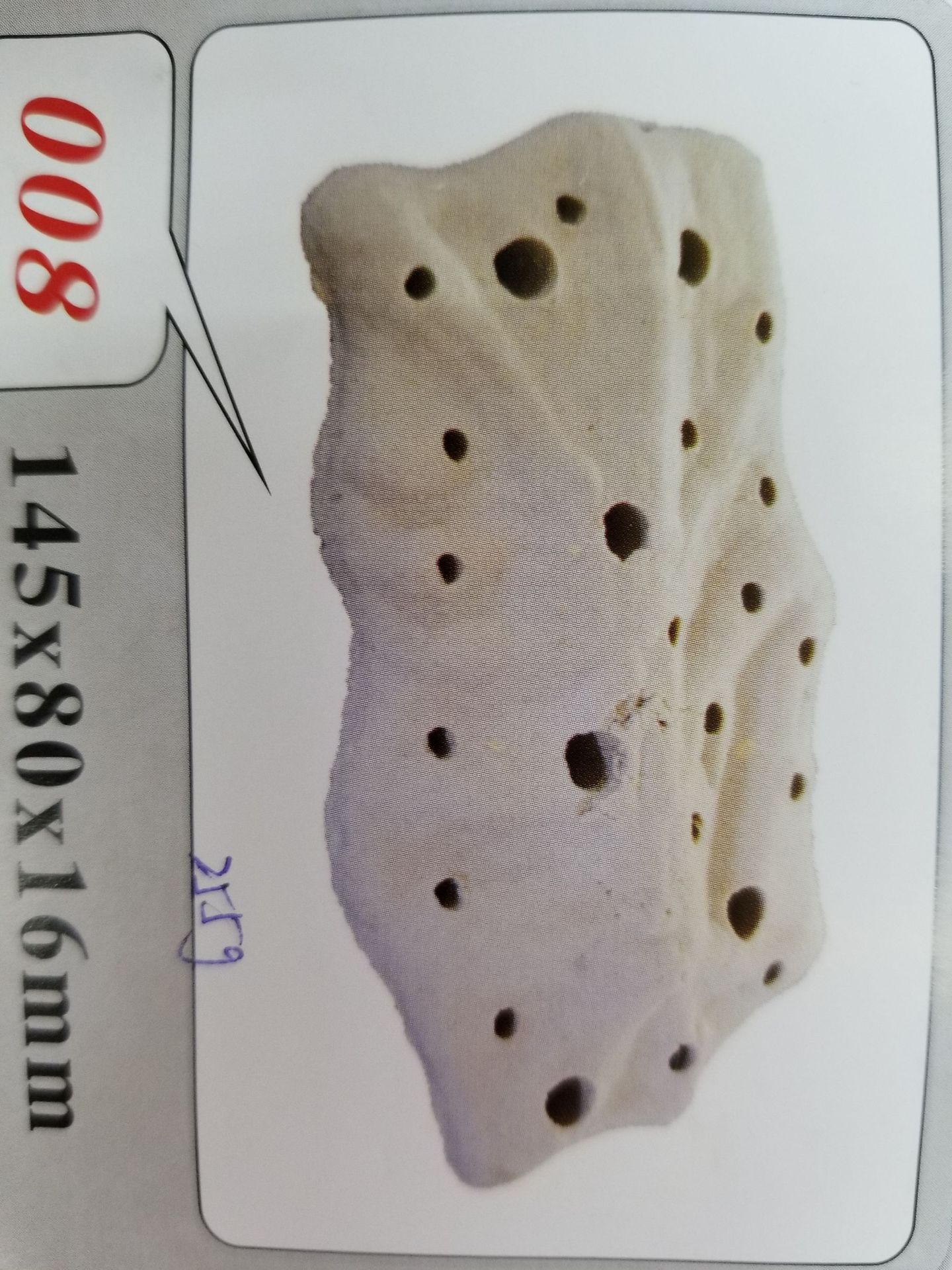 Baojie Aquarium Base, simulation aquatic plant base, fish tank aquatic plant base, ceramic base manufacturer wholesale pic 59