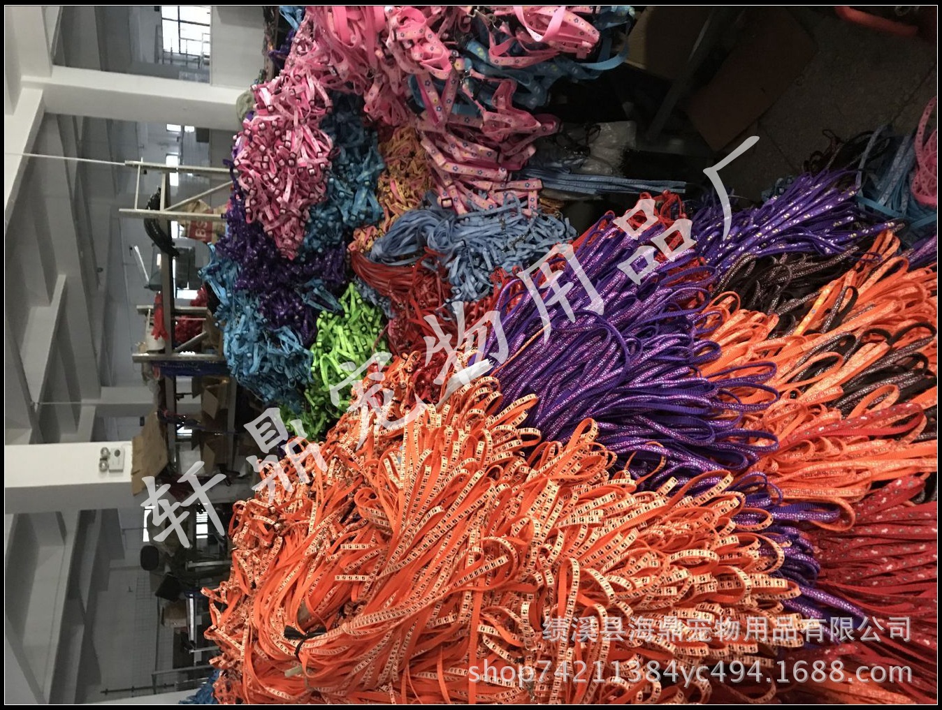 Pet supplies: dog leashes, denim leashes, chest straps, denim dog walking leashes, medium and small-sized dog chains pic 37