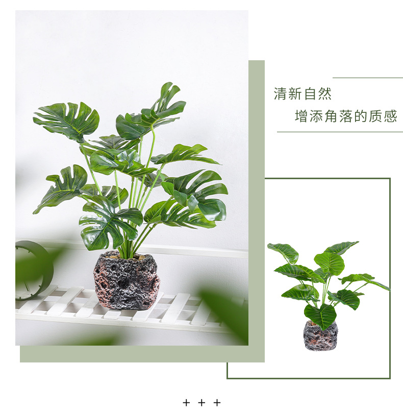 Nordic InS-style simulated pothos and turtle-back leaf potted plants, living room desktop simulated green plant potted plants, home decoration ornaments simulated potted plants pic 3