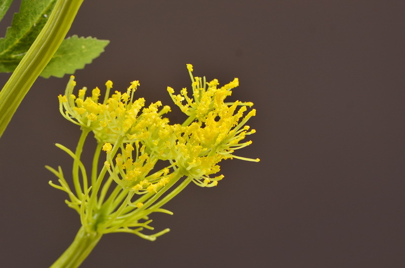 Wholesale of artificial lace and artificial green plants from the original factory, flower arrangement materials, and artificial plants for home, hotel, wedding and decoration pic 28