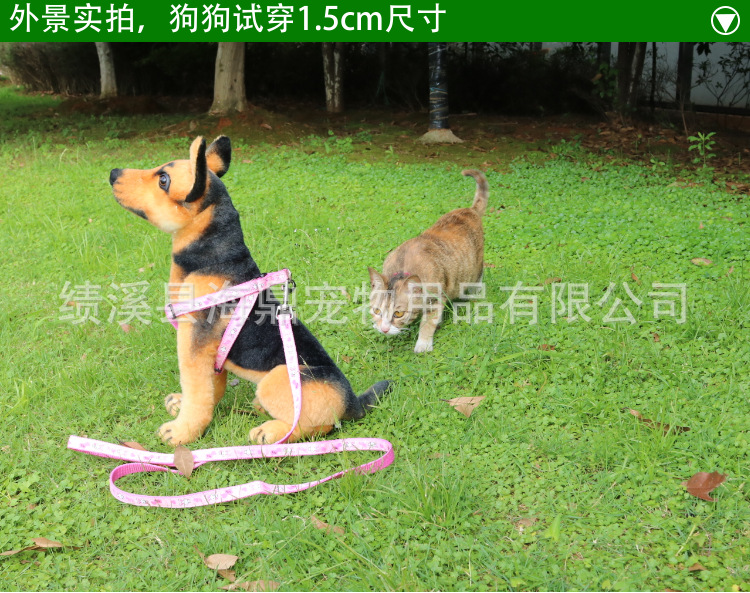 Wholesale patch dog leashes, printed dog chains, leashes, chest straps, small and medium-sized dog walking leashes, dog chains, collars pic 18