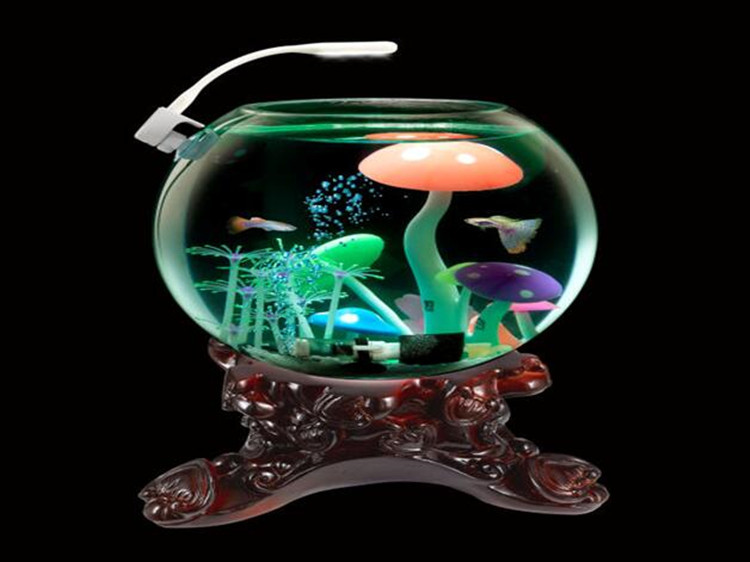 Wholesale fish tank, rosewood ruyi base, flower bonsai, rockery, stone base, fish tank, rosewood ruyi base with light pic 7