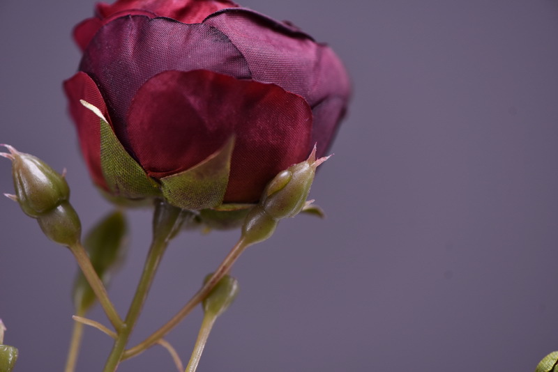 Simulated retro charred edge rose bud home, hotel, banquet table flower, high-end simulated rose, simulated dried flower pic 21