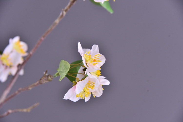 Wholesale of artificial flowers from the original factory, including artificial pear blossoms, cherry blossoms, duckweed flowers, model rooms, living rooms and hotel decorations pic 18