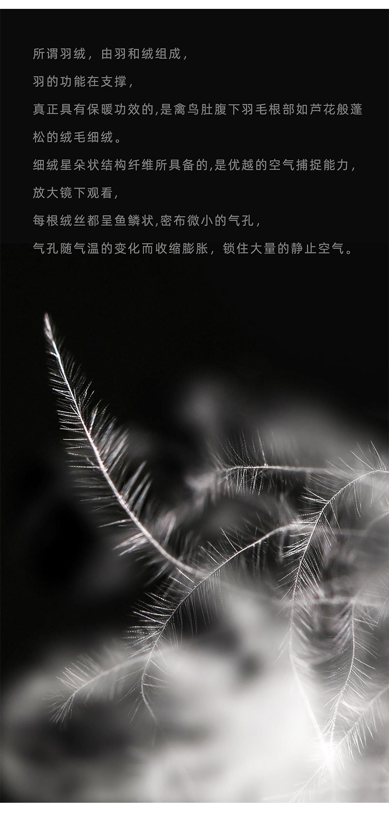 The cold-proof magic weapon, the 700-peng 90 white goose down thickened warm loose short hooded bread down jacket for women in winter pic 3