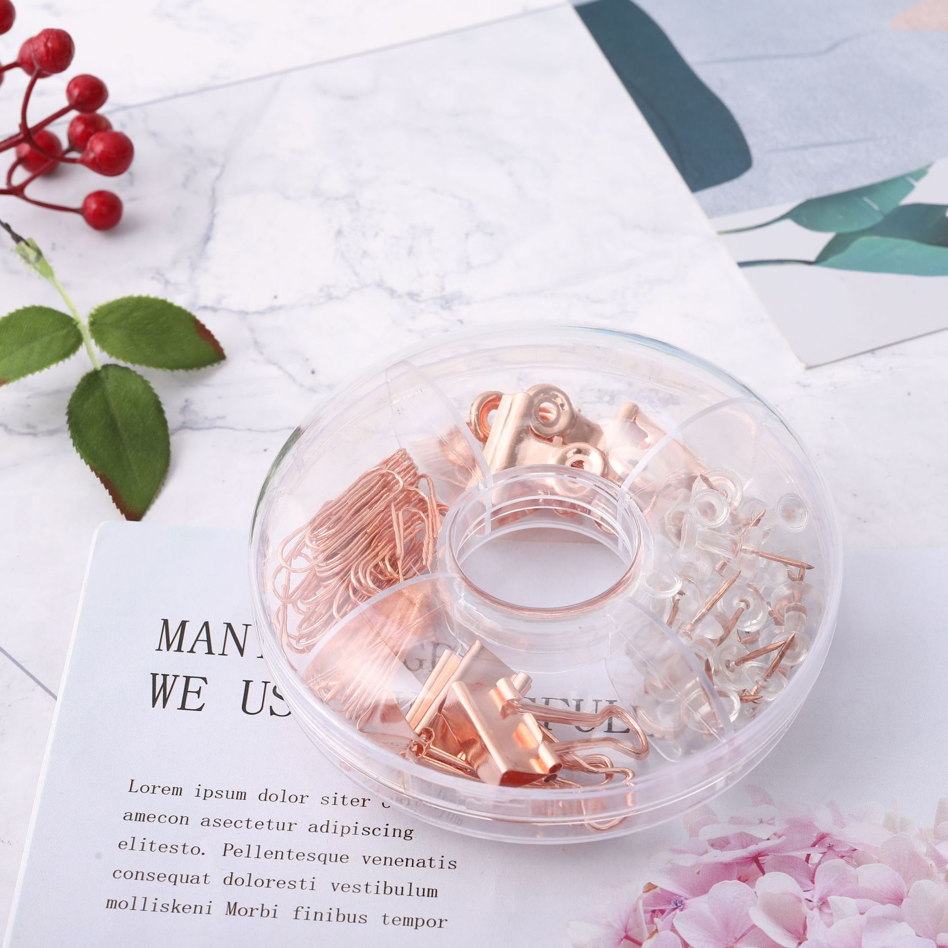 Cross-border direct supply 19mm rose gold long-tail clip paperclip storage set, multi-functional I-shaped nail receipt holder combination pic 12