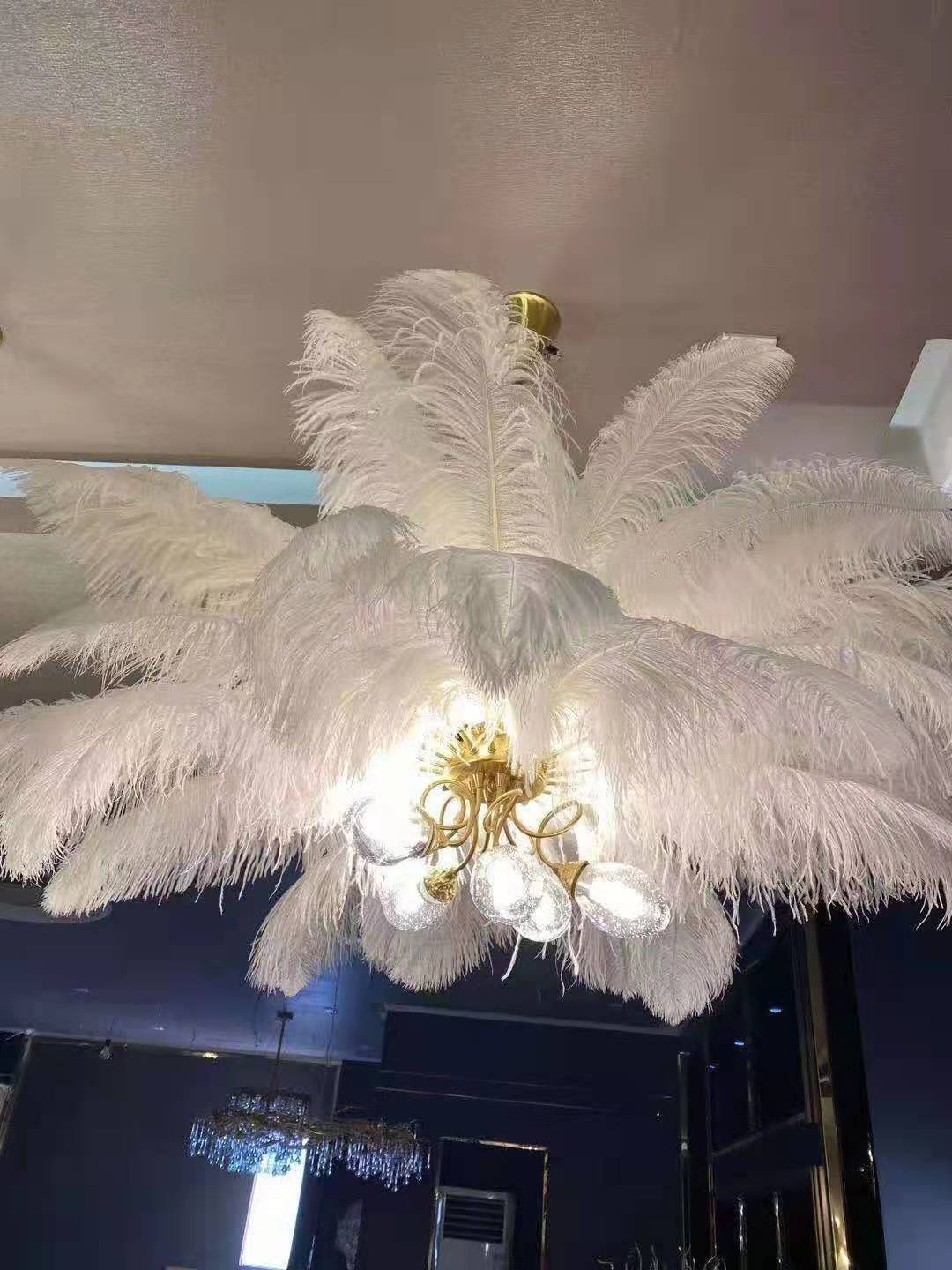 The manufacturer has 75-80 thick ostrich feathers in stock for wedding decoration, home furnishings and carnival, with a variety of colorful feathers pic 31