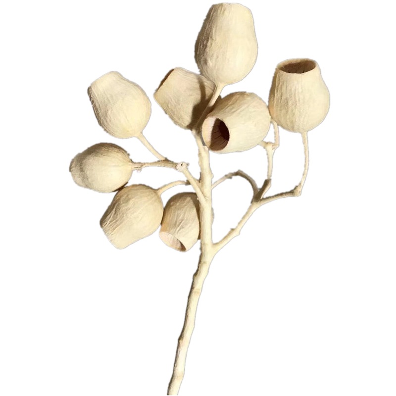 Natural plant dried flowers, bell fruits, one-piece bell flower arrangement, soft decoration handicrafts and accessories pic 1